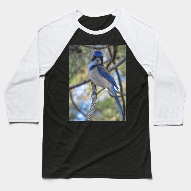 I am birdman Baseball T-Shirt by Photography_fan